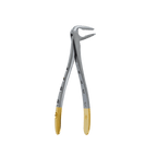 F4 Lower Anterior Apical Retention Forceps - Atraumatic Extraction