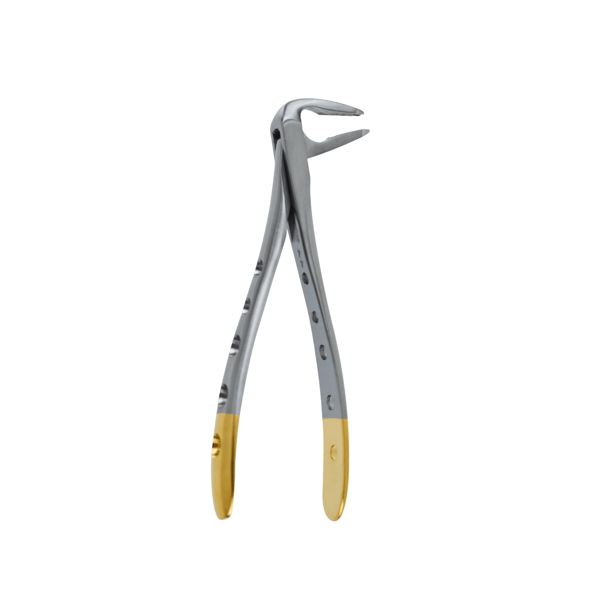 F4 Lower Anterior Apical Retention Forceps - Atraumatic Extraction