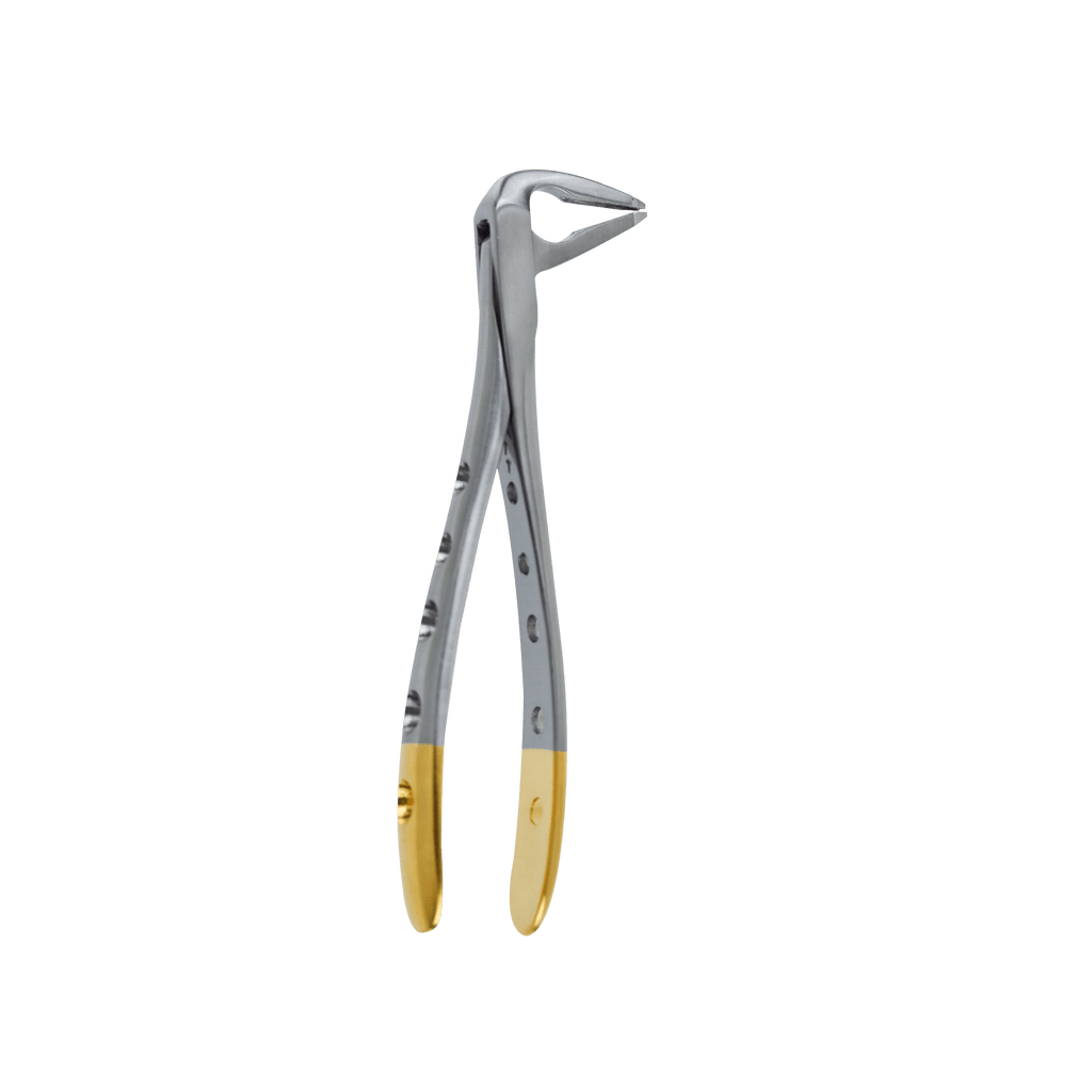 F4 Lower Anterior Apical Retention Forceps - Atraumatic Extraction