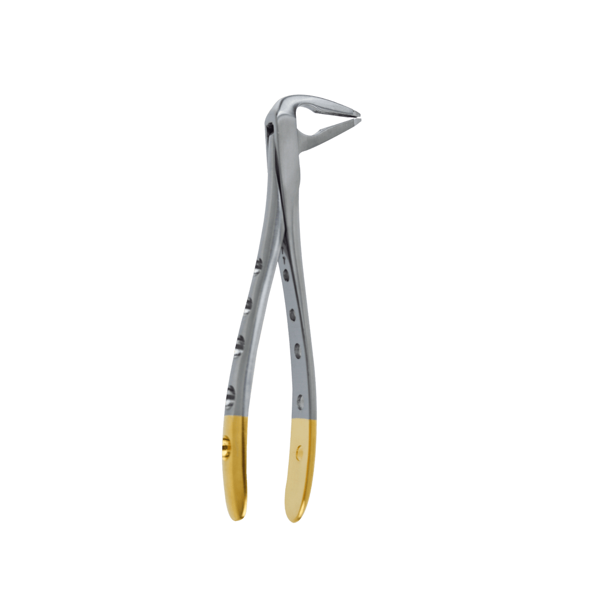 F4 Lower Anterior Apical Retention Forceps - Atraumatic Extraction