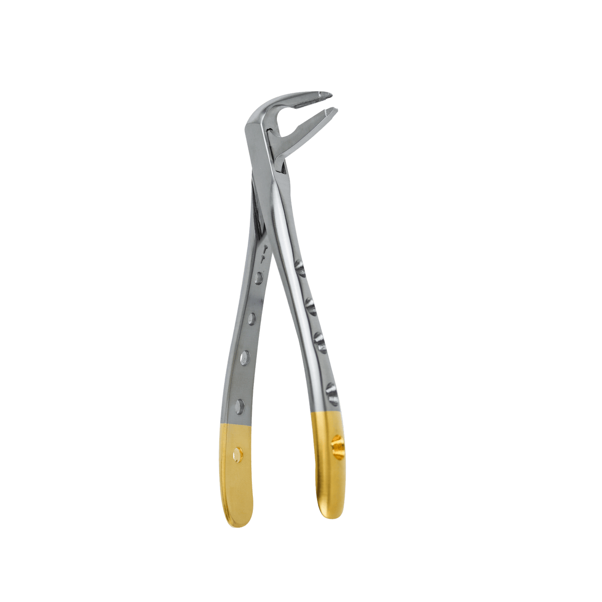 F4 Lower Anterior Apical Retention Forceps - Atraumatic Extraction