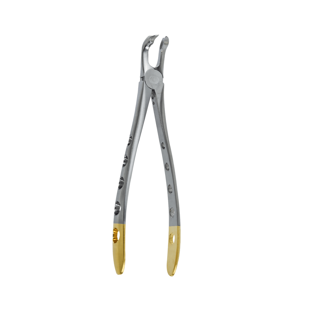 Atraumatic Extraction Forceps - Lower Molar Modified Cow Horn Beak