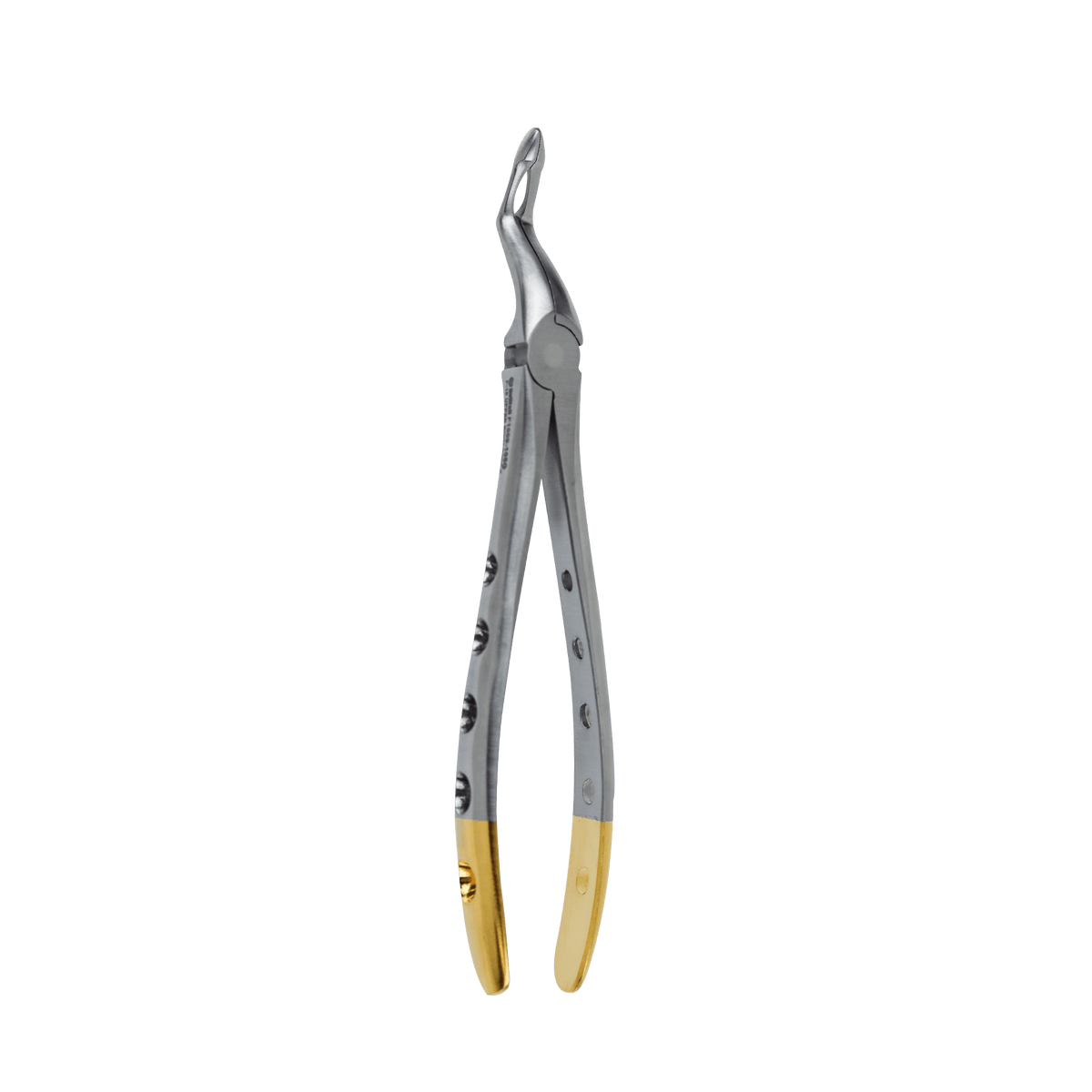 Extraction Forceps F-16 Upper Root