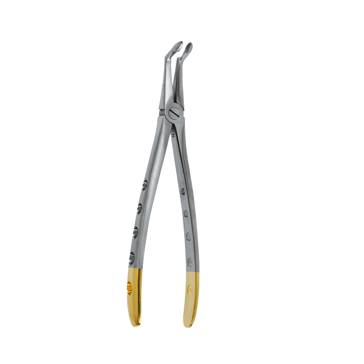 Extraction Forceps F-17 Lower Root