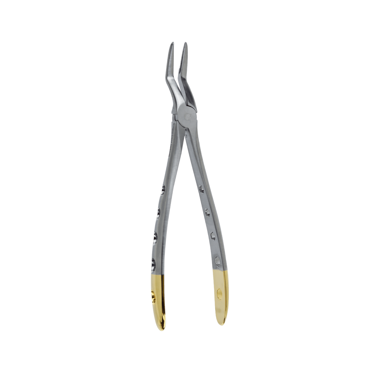 Extraction Forceps F - 51XL Upper Root