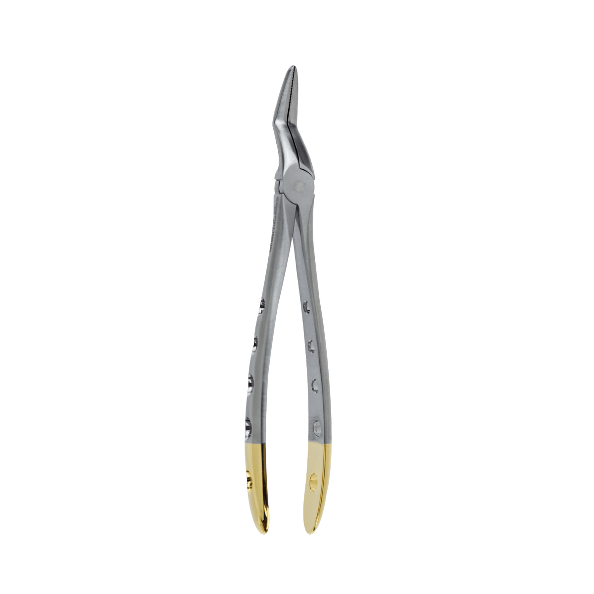 Extraction Forceps F - 51XL Upper Root