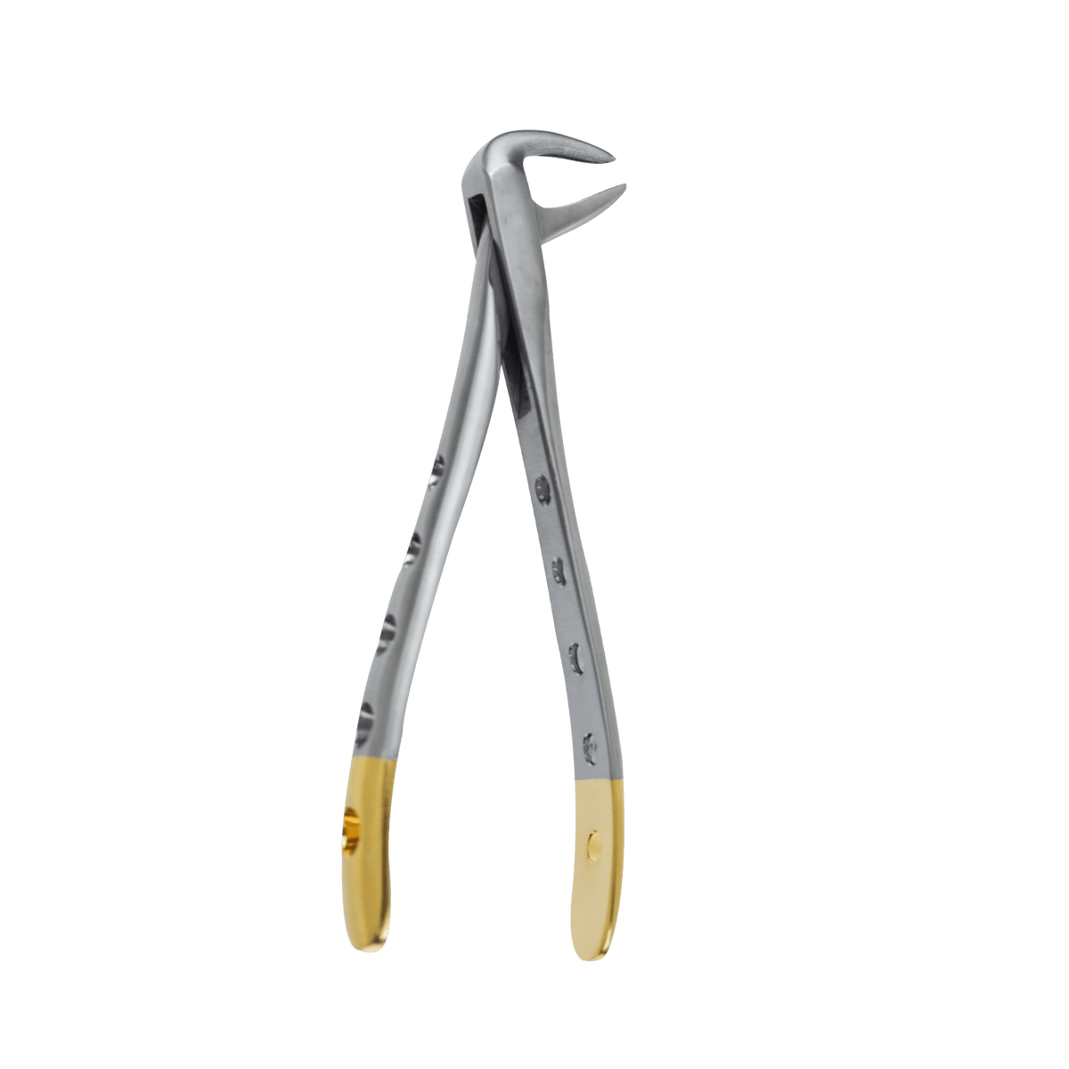 Extraction Forceps F - 74NF Lower Incisors and Roots