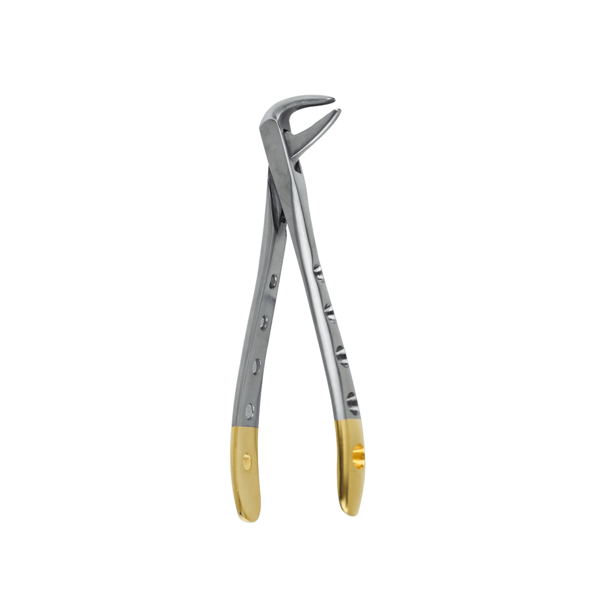 Extraction Forceps F - 74NF Lower Incisors and Roots
