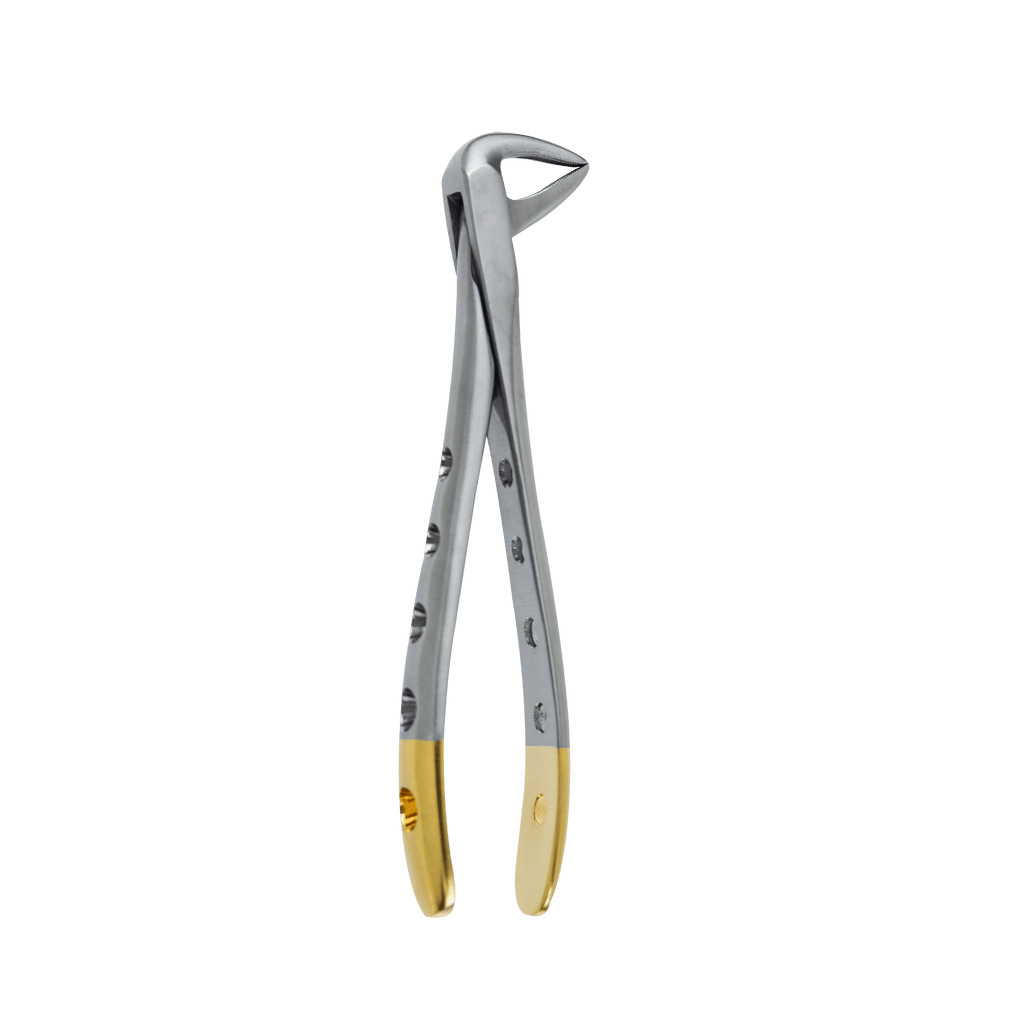 Extraction Forceps F - 74NF Lower Incisors and Roots