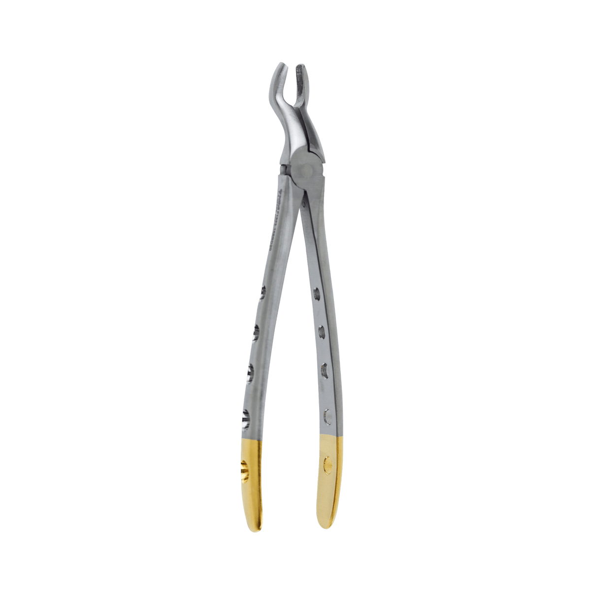 Extraction Forceps F-6 WIDE Beak Upper 3rd Molars - Wisdoms Teeth