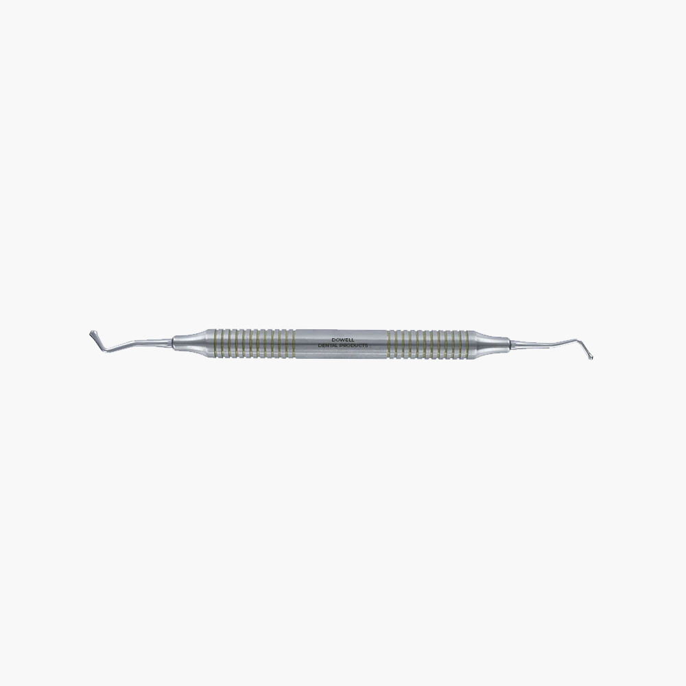 B21 Acorn Burnisher - Stainless Steel
