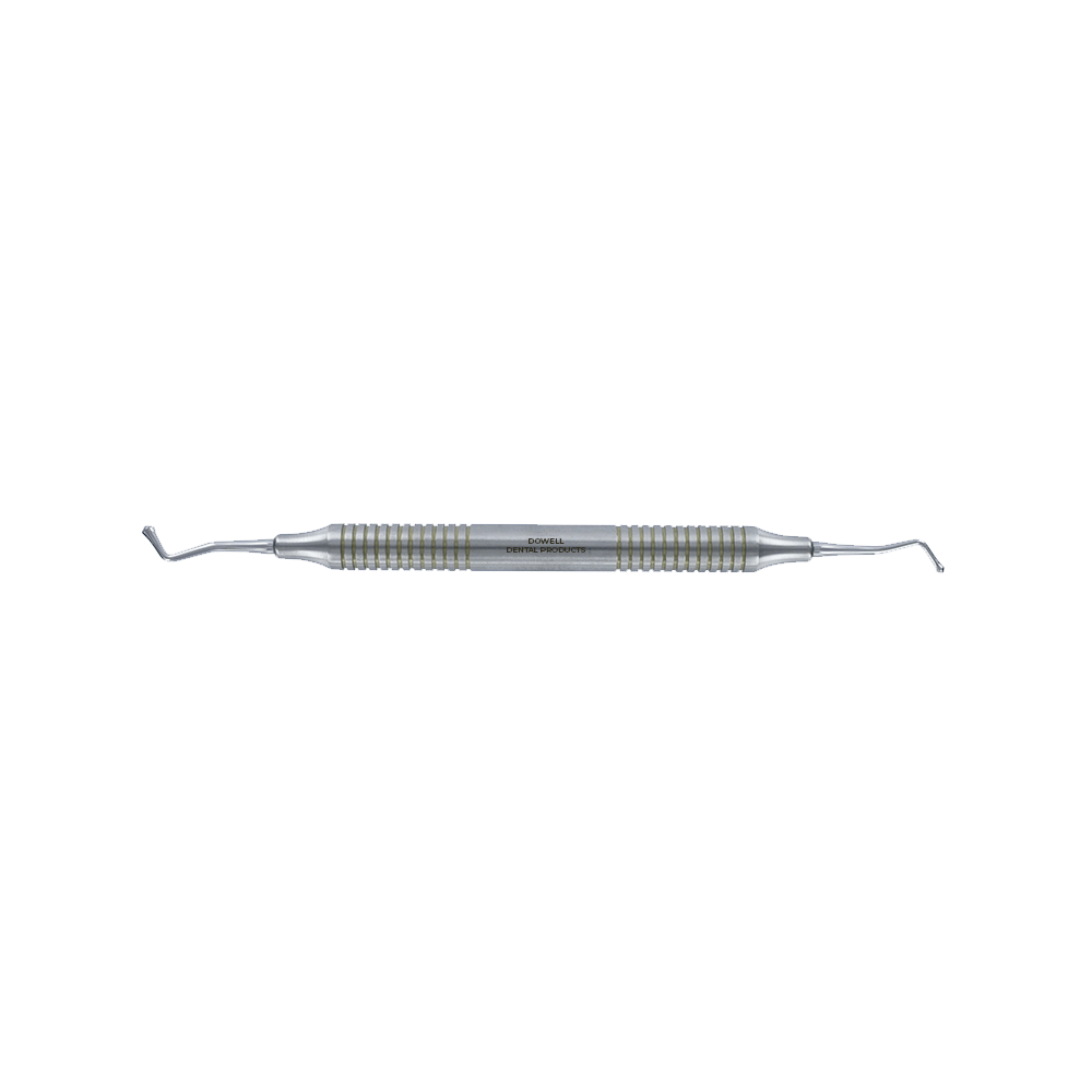 B21 Acorn Burnisher - Stainless Steel