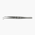 Corn Suture Tissue Plier Forceps - 16 cm